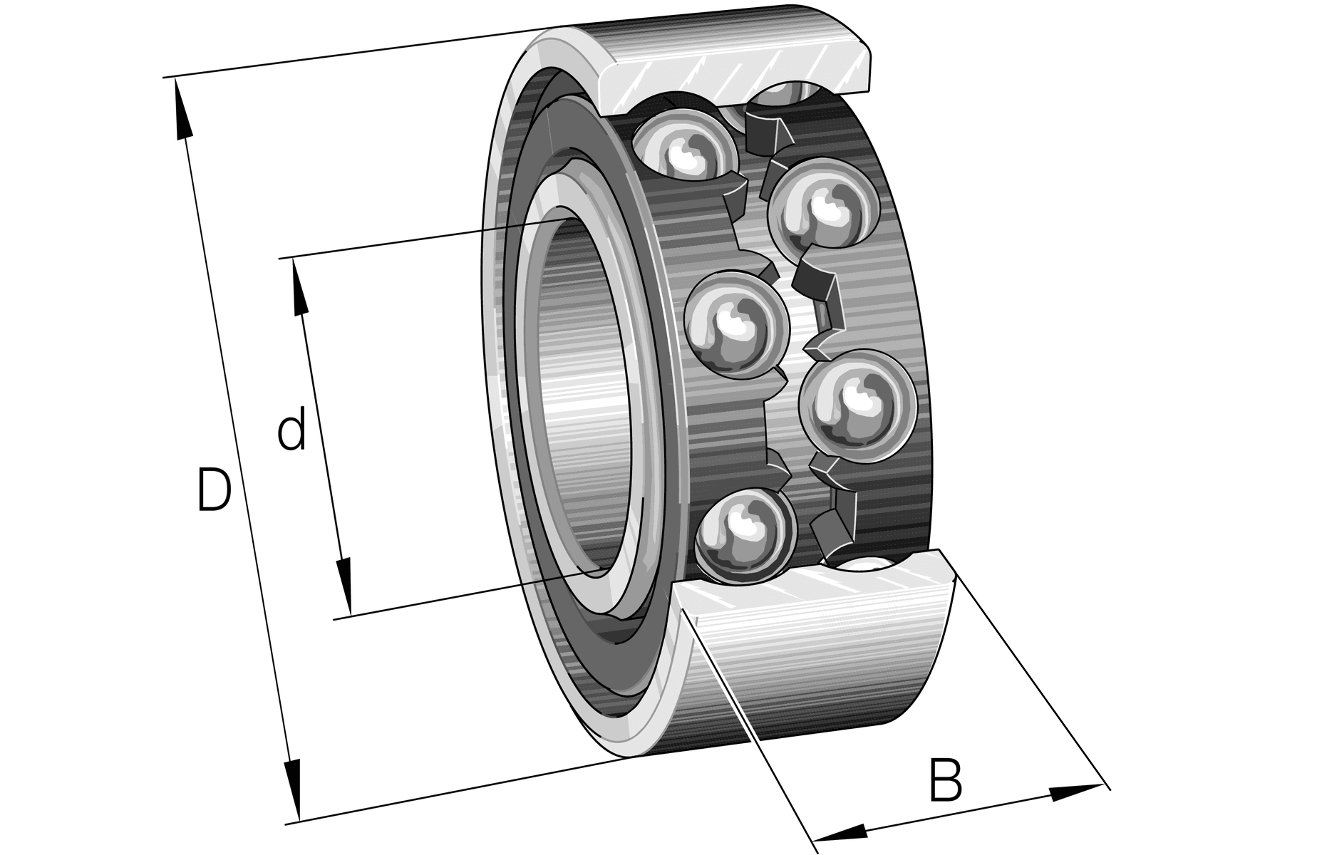 Fallback Image