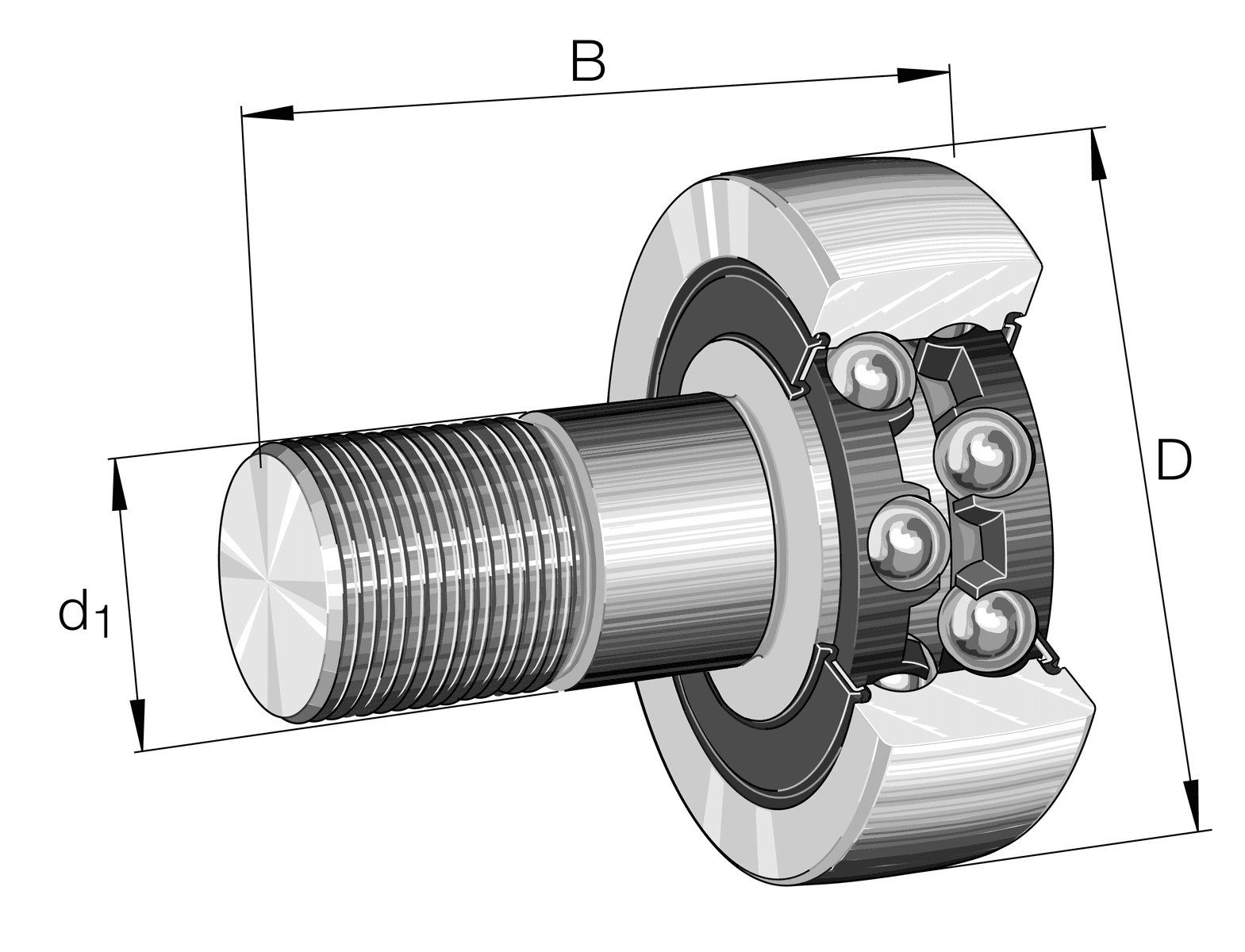 Fallback Image